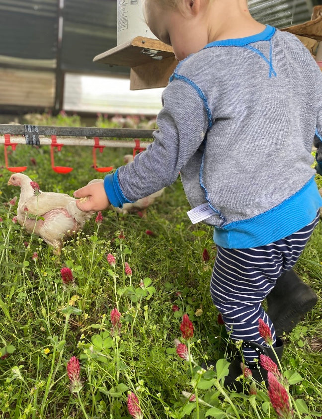 Pasture Raised Chicken, No soy, no corn, non-gmo