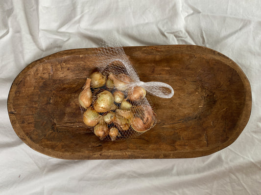 Onion Bulbs